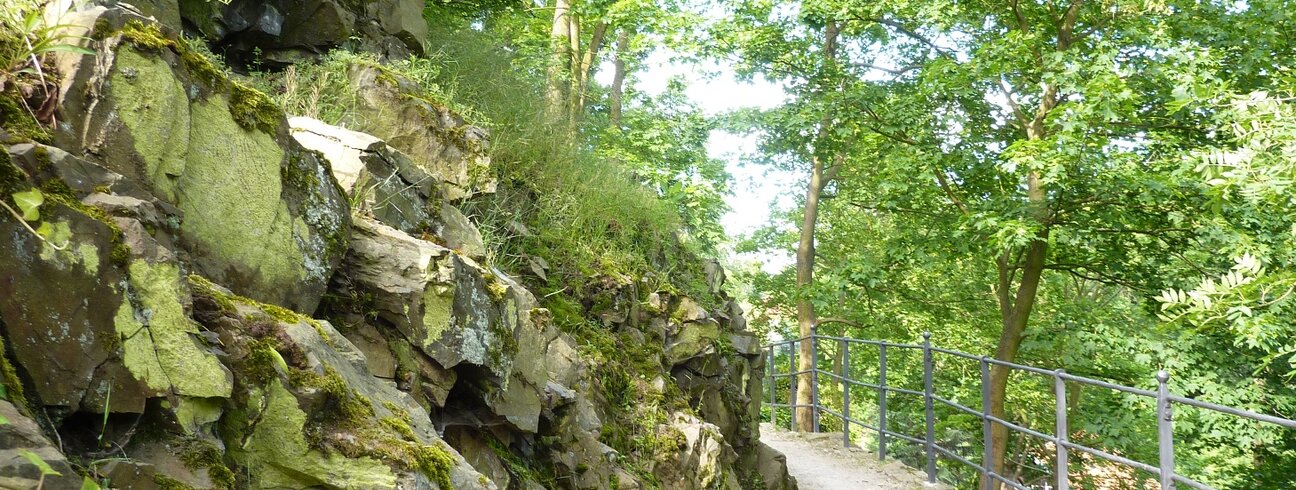Zámecký park je ideálním místem k procházce. | © Státní zámek Mníšek pod Brdy Zámecký park je ideálním místem k procházce. | © Státní zámek Mníšek pod Brdy