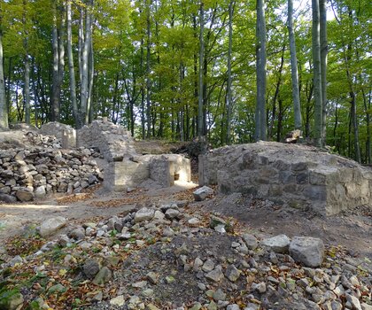 Zříceniny hradního paláce, stav po provedení konzervačních prací; v popředí pilíř, vlevo zbytek průčelí se vstupem do interiéru