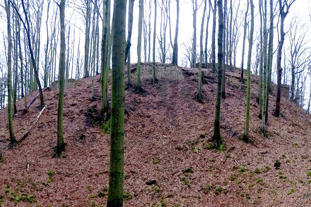 Hrad Starý Světlov, celkový pohled na hradní jádro od severovýchodu, uprostřed a vlevo konzervované úseky parkánové hradby (foto: Vrla 2025)