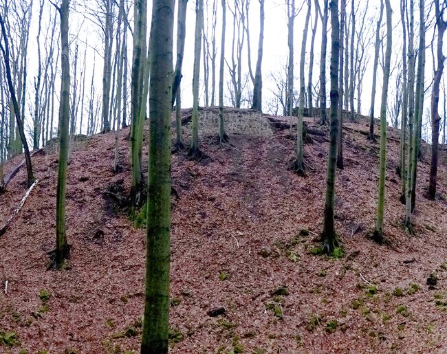 Hrad Starý Světlov, celkový pohled na hradní jádro od severovýchodu, uprostřed a vlevo konzervované úseky parkánové hradby (foto: Vrla 2025) Hrad Starý Světlov, celkový pohled na hradní jádro od severovýchodu, uprostřed a vlevo konzervované úseky parkánové hradby (foto: Vrla 2025)