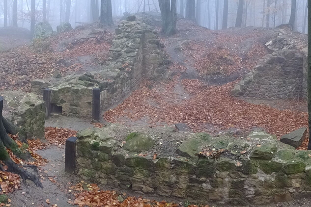 Hrad Starý Světlov, celkový pohled od jihovýchodu na zakonzervované zdivo paláce (foto: Vrla 2025)