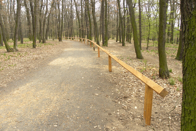 Statické zábrany bránící vjezdu cyklistů do prostoru obléhacího tábora u Nového hradu u Kunratic (foto V. Gut, 2019).